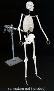 Armature Stand