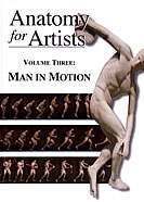 Anatomy for Artists - Man In Motion